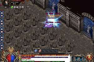 夜猫子超变单职业带假人服务端【Gom引擎】