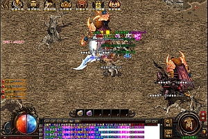 独家魔界大陆大极品单职业微变带假人版本【Gom引擎】