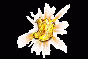 逆火传奇首饰素材大全-PNG格式0020