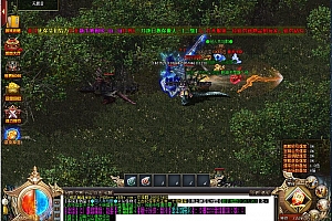 独家魔魂变态神器单职业传奇假人版本【Gom引擎】