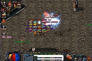 新版天斗河神独家激情单职业带假人版本【Gom引擎】