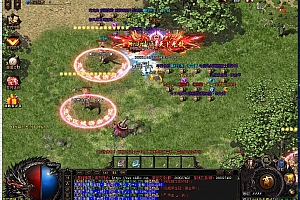 新版龙渊神器精品单职业传奇服务端【Gom引擎】