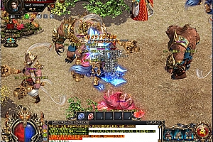 龙家班超变态单职业传奇带假人版本【Gom引擎】