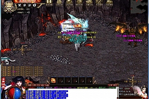 辉煌神器公益单职业传奇带假人版本【Gom引擎】
