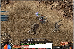 混沌时空无限刀十九大陆单职业变态传奇版本【Gom引擎】