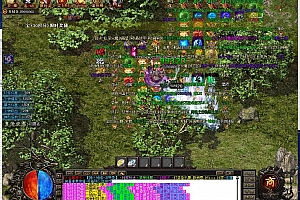 洪荒录中变单职业传奇带假人版本【Gom引擎】