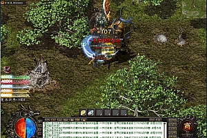神之领域透视鬼火无限刀单职业传奇版本【Gom引擎】