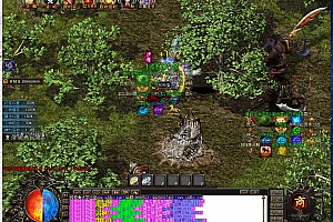 独家七觉黑刀中变专属单职业传奇带假人版本【Gom引擎】