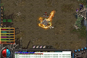 单件专属神器单职业传奇带假人版本【Gom引擎】