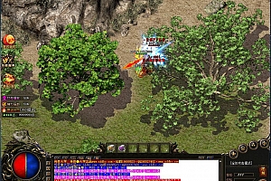 十彩赤影无限刀单职业传奇变态版本【Gom引擎】