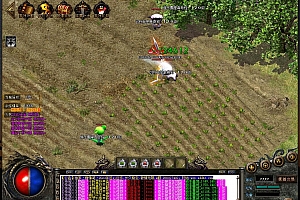 独家断情笔公益大陆微变单职业传奇版本【Gom引擎】