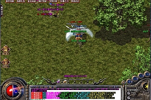 天选冰雪之城三职业复古传奇版本服务端【Gom引擎】