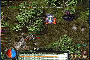 荣耀大箓正版专属无限刀单职业传奇版本【Gom引擎】