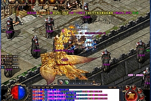 独家江南神器单职业变态传奇服务端版本【Gom引擎】