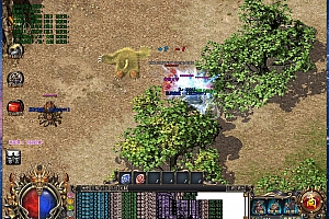 激情无敌满贯大超变无限刀单职业传奇版本【Gom引擎】