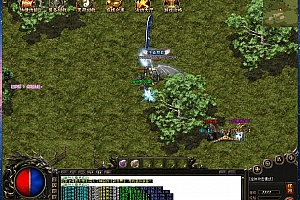 北极冰雪大极品微变单职业传奇服务端版本【Gom引擎】