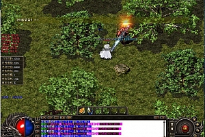 金庸神魔全新16大陆专属单职业传奇版本【Gom引擎】