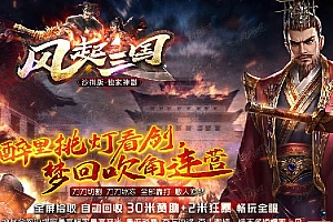 风起三国忘忧独家神器单职业传奇服务端版本库GM基地-SD插件-Gom引擎