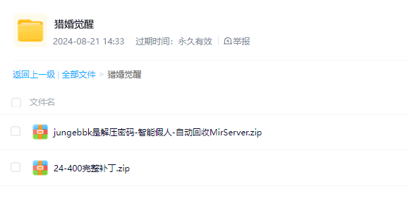 猎魂觉醒专属剧情沉默单职业传奇版本-智能假人-自动回收-带光柱_新GOM引擎插图40